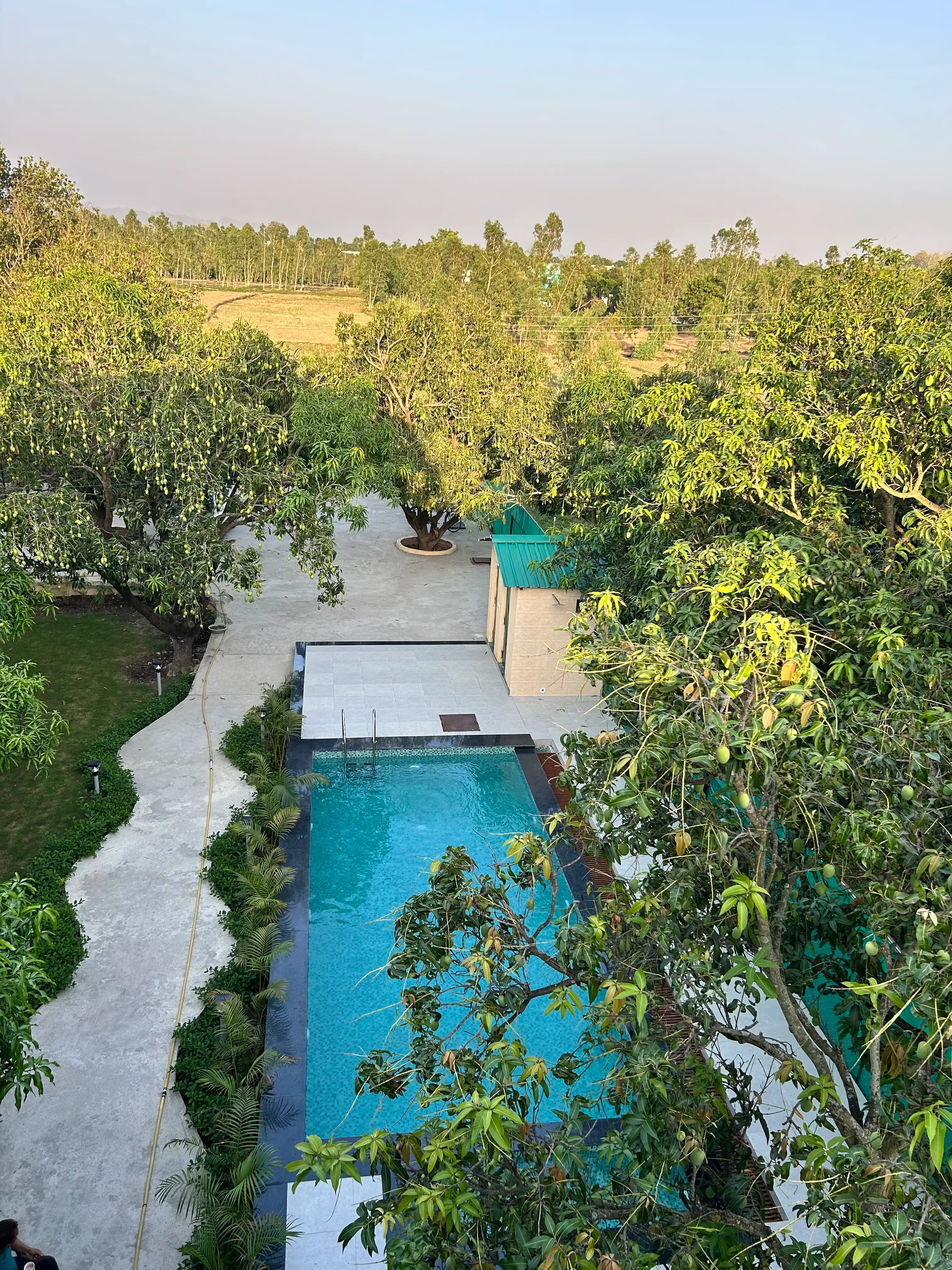 View from the balcony overlooking the paddy fields and swimming pool.